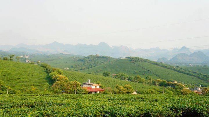 Homestay Moc Chau Exterior foto